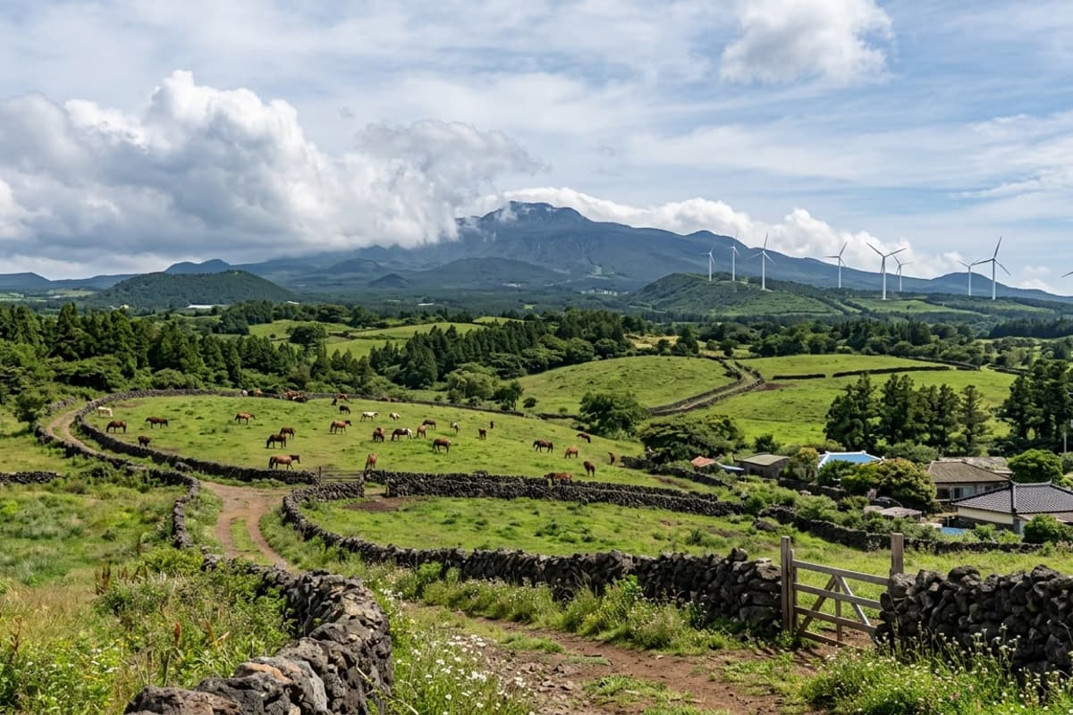 Mid-mountain pastureland with basalt stone walls and Hallasan in the distance, the kind of landscape that informed the Deoreok palette