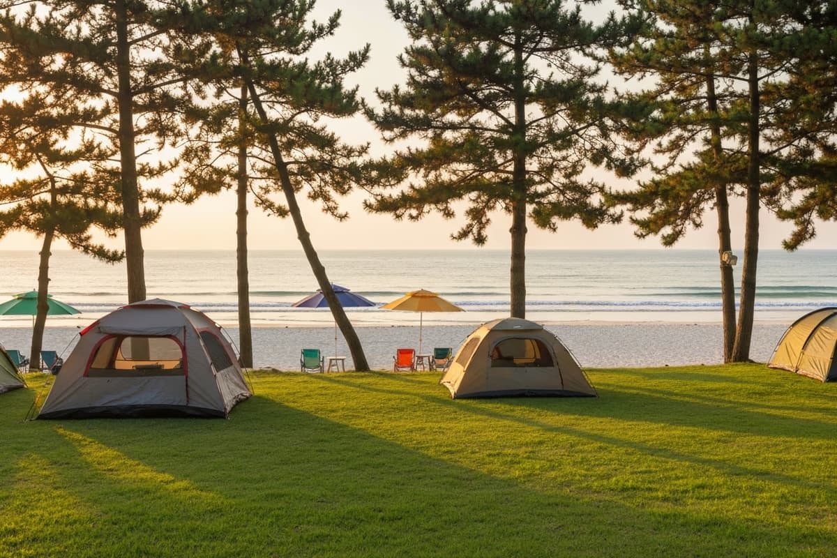 Geumneung's campground at dusk — a few tents on the grass under low pines, the evening sky deepening