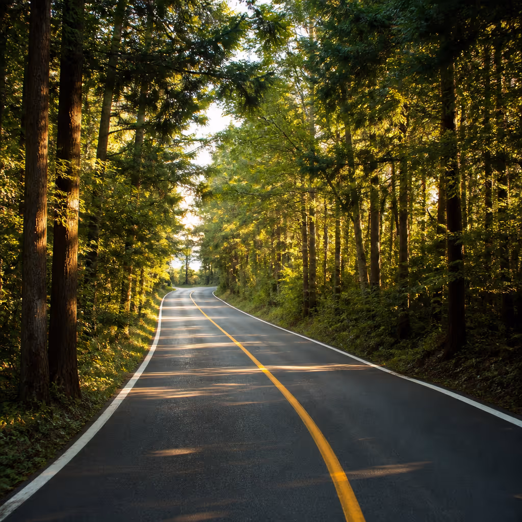 從萬丈窟至涯月方向的移動路徑,夕陽下低置的濟州中山間道路