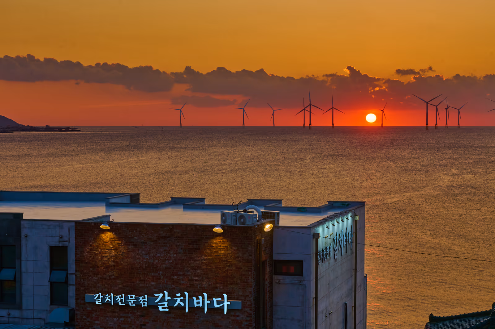 갈치바다 애월점 통유리 너머 한낮의 바다빛과 도두항 어선의 야간 잔상이 만나는 점심 정물